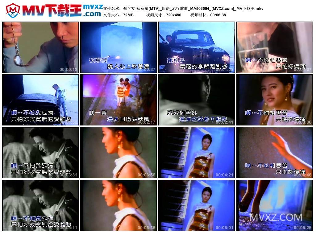 张学友-秋意浓(MTV)_国语_流行歌曲_MA503564